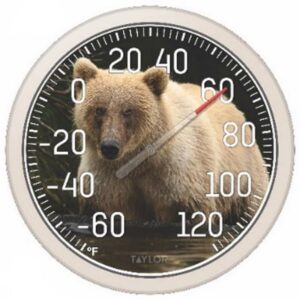 Taylor Bear Dial Thermometer Plastic Multicolored (Case of 4)