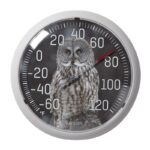 Taylor Owl Dial Thermometer Plastic Multicolored (Case of 4)