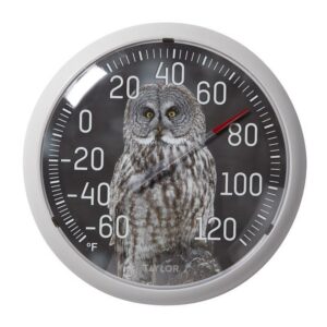 Taylor Owl Dial Thermometer Plastic Multicolored (Case of 4)