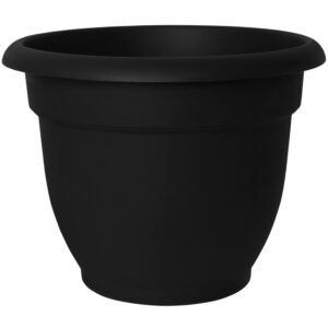 Bloem Ariana 10.25 in. H X 13 in. W Resin Traditional Planter Black