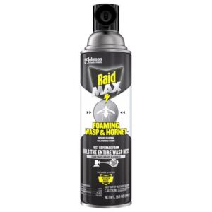 Raid Max Wasp and Hornet Killer Foam (Case of 12)