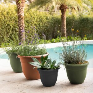 Bloem Ariana 10.25 in. H X 13 in. W Resin Traditional Planter Black - Image 6