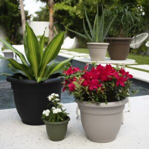 Bloem Ariana 8.5 in. H X 11 in. W Resin Traditional Planter Black - Image 4