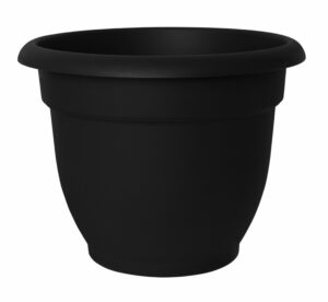 Bloem Ariana 8.5 in. H X 11 in. W Resin Traditional Planter Black