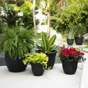 Bloem Ariana 8.5 in. H X 11 in. W Resin Traditional Planter Black - Image 5