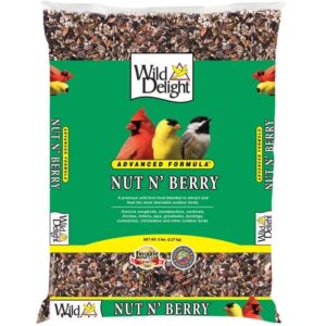 Wild Delight Nut N Berry Assorted Species Sunflower Kernels Wild Bird Food