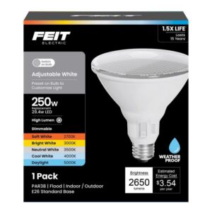 Feit PAR38 E26 (Medium) LED Bulb Adjustable White 250 Watt Equivalence