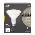 Feit PAR30 E26 (Medium) LED Bulb Bright White 75 Watt Equivalence