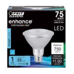 Feit Enhance PAR30 E26 (Medium) LED Bulb Daylight 75 Watt Equivalence