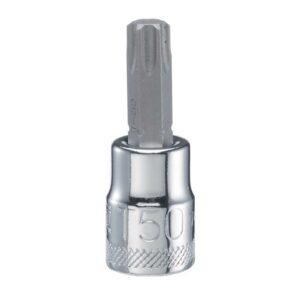DeWalt T50 Sizes X 3/8 in. drive SAE Bit Socket