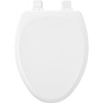 Mayfair by Bemis Lannon Slow Close Elongated White Enameled Wood Toilet Seat