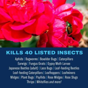 BioAdvanced Ready-to-Use, Dual Action Rose and Flower Insect Killer Liquid 24 oz - Image 2