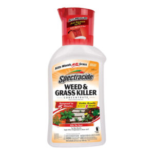 Spectracide Weed and Grass Killer Concentrate