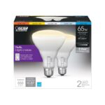 Feit BR30 E26 (Medium) LED Bulb Adjustable White 65 Watt Equivalence