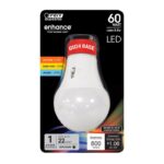 Feit A19 GU24 LED Bulb Color Changing 60 Watt Equivalence