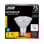 Feit PAR30 E26 (Medium) LED Bulb Bright White 75 Watt Equivalence