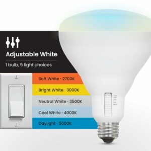 Feit BR30 E26 (Medium) LED Bulb Adjustable White 85 Watt Equivalence 2 pk - Image 4