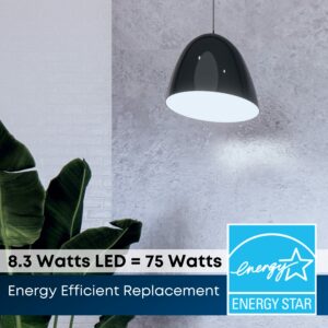 Feit Enhance PAR30 E26 (Medium) LED Bulb Daylight 75 Watt Equivalence 2 pk - Image 6