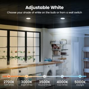 Feit R20 E26 (Medium) LED Bulb Adjustable White 45 Watt Equivalence 2 pk - Image 3