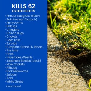 BioAdvanced Complete, Ready-to-Spray Insect Killer for Soil & Turf Liquid 32 oz - Image 2