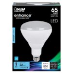 Feit Enhance BR40 E26 (Medium) LED Bulb Daylight 65 Watt Equivalence