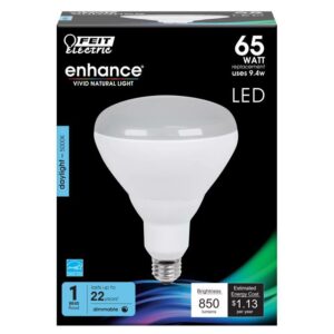 Feit Enhance BR40 E26 (Medium) LED Bulb Daylight 65 Watt Equivalence