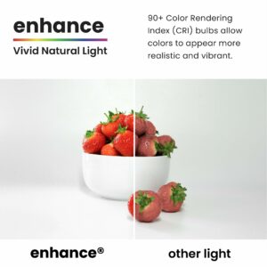 Feit Enhance PAR38 E26 (Medium) LED Bulb Daylight 75 Watt Equivalence 4 pk - Image 8