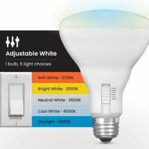 Feit BR30 E26 (Medium) LED Bulb Adjustable White 65 Watt Equivalence 6 pk - Image 5