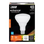 Feit BR30 E26 (Medium) LED Bulb Soft White 65 Watt Equivalence