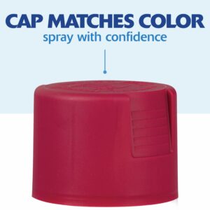 Rust-Oleum Painter's Touch 2X Ultra Cover Matte Red Currant Spray Paint (6-Pack) - Image 7