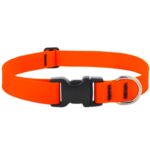 LupinePet Splash Neon Orange BioThane Dog Adjustable Collar Large 28553