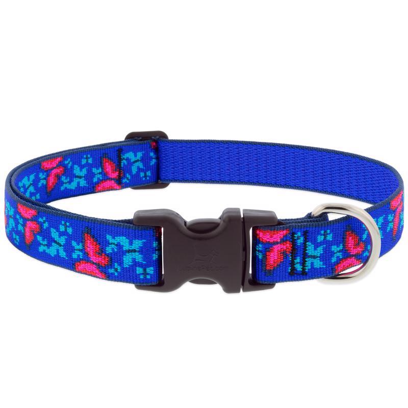 LupinePet Blue/Pink Social Butterfly Nylon Dog Adjustable Collar Large