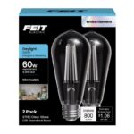3019248 60W 800 Lumen ST19 E26 Medium Filament LED Bulb - Daylight Equivalence - Pack of 2