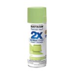 Rust-Oleum Painter's Touch 2X Ultra Cover Satin Green Apple Spray Paint 12 oz