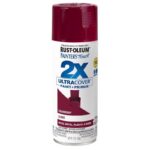 Rust-Oleum Painter's Touch 2X Ultra Cover Gloss Cranberry Spray Paint 12 oz