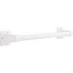 Delta Grab Bar White Stainless Steel 17.63 in. L DF516W