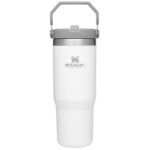 Stanley IceFlow 30 oz Polar BPA Free Double-Wall Vacuum Insulated Straw Tumbler