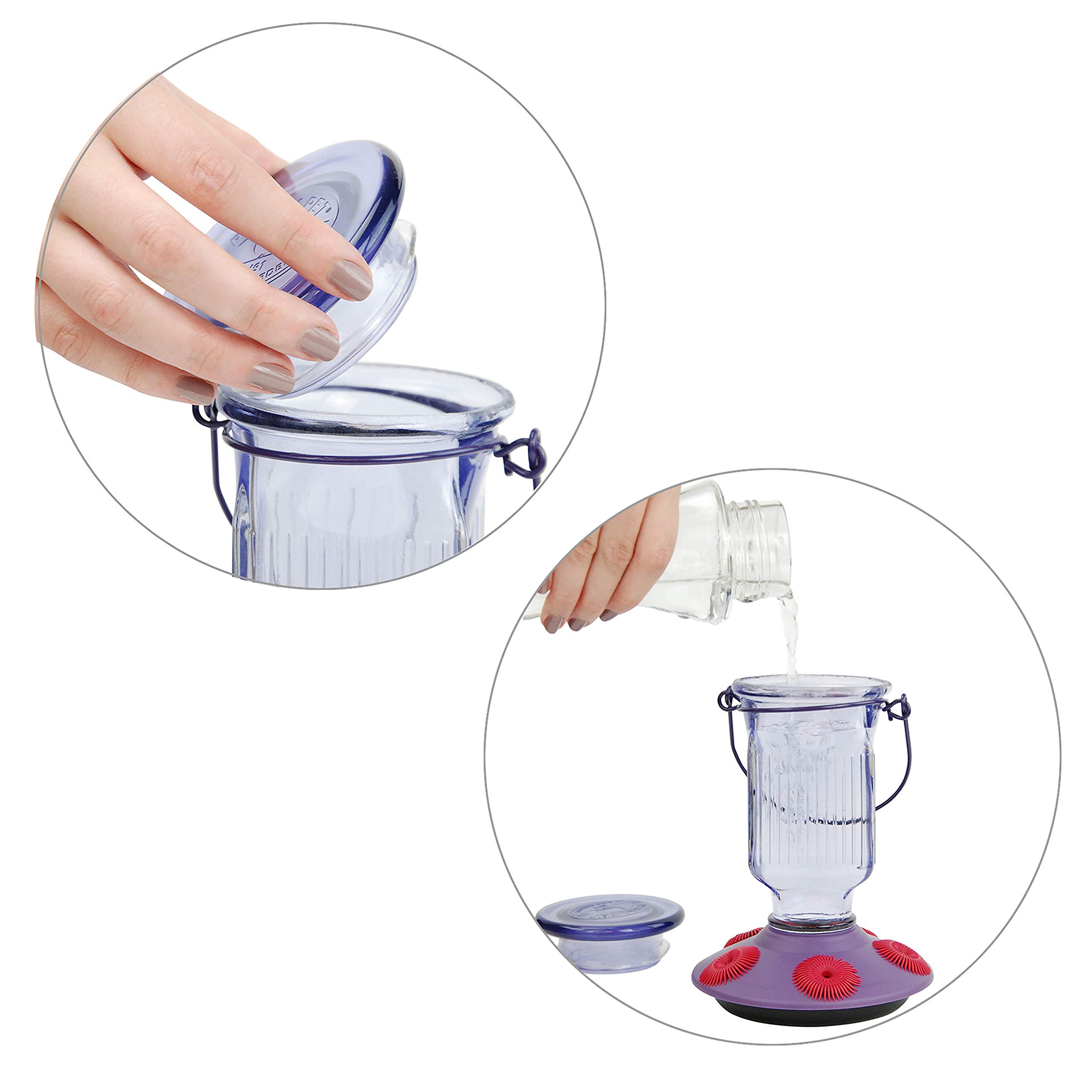 Perky-Pet Hummingbird 16 oz Glass Top-Fill Nectar Bird Feeder 5 ports 9101-2 - Image 4