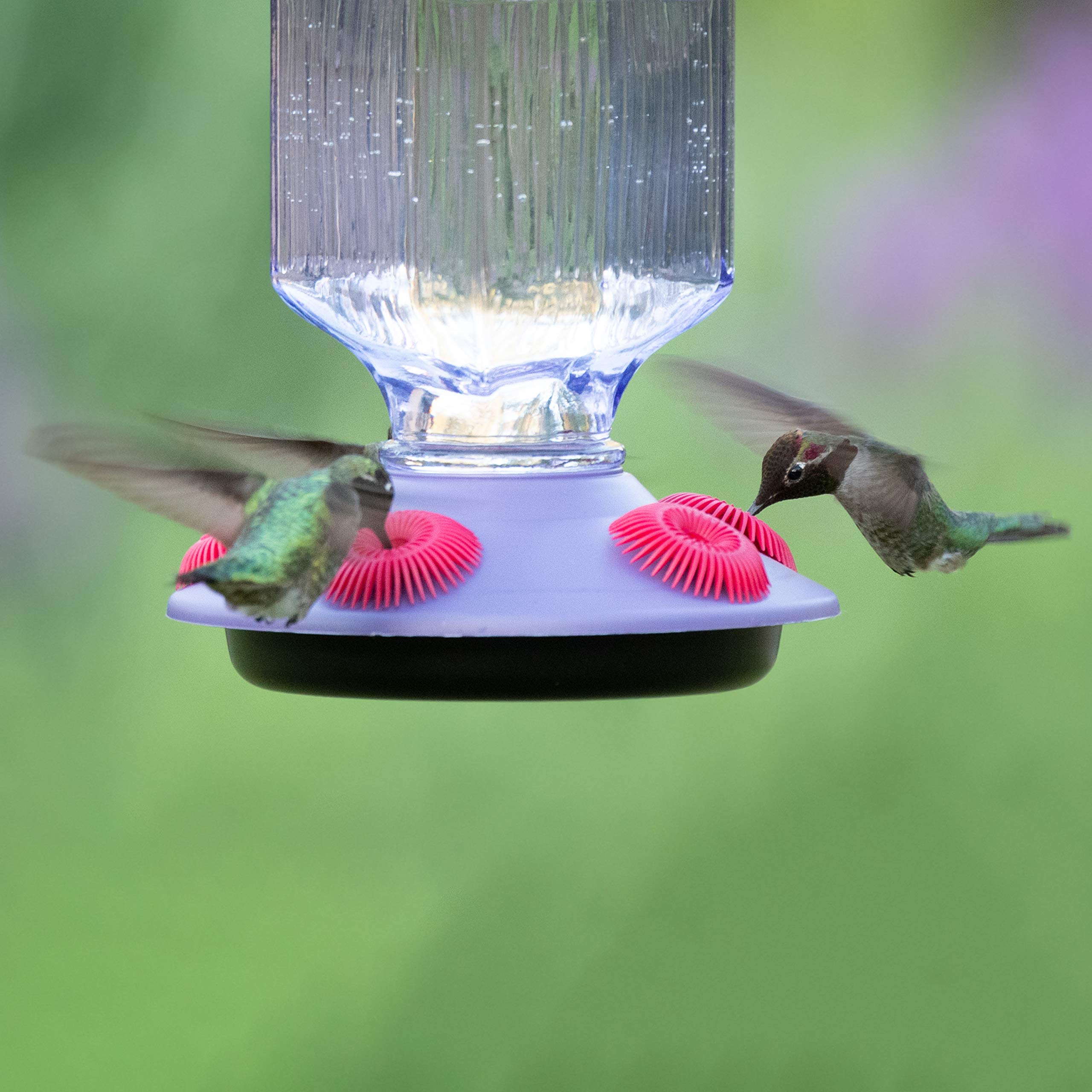 Perky-Pet Hummingbird 16 oz Glass Top-Fill Nectar Bird Feeder 5 ports 9101-2 - Image 6