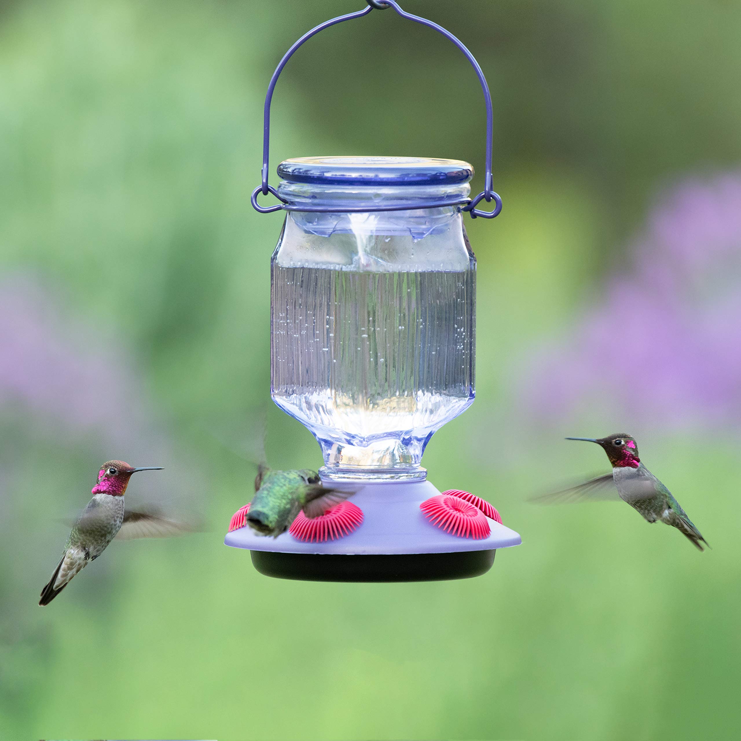 Perky-Pet Hummingbird 16 oz Glass Top-Fill Nectar Bird Feeder 5 ports 9101-2 - Image 5