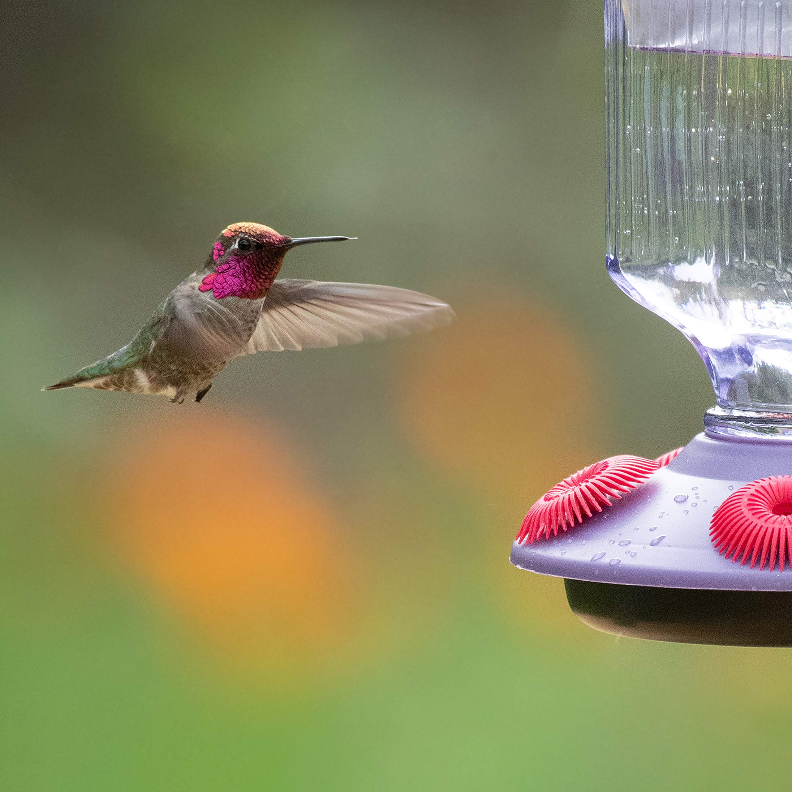Perky-Pet Hummingbird 16 oz Glass Top-Fill Nectar Bird Feeder 5 ports 9101-2 - Image 7