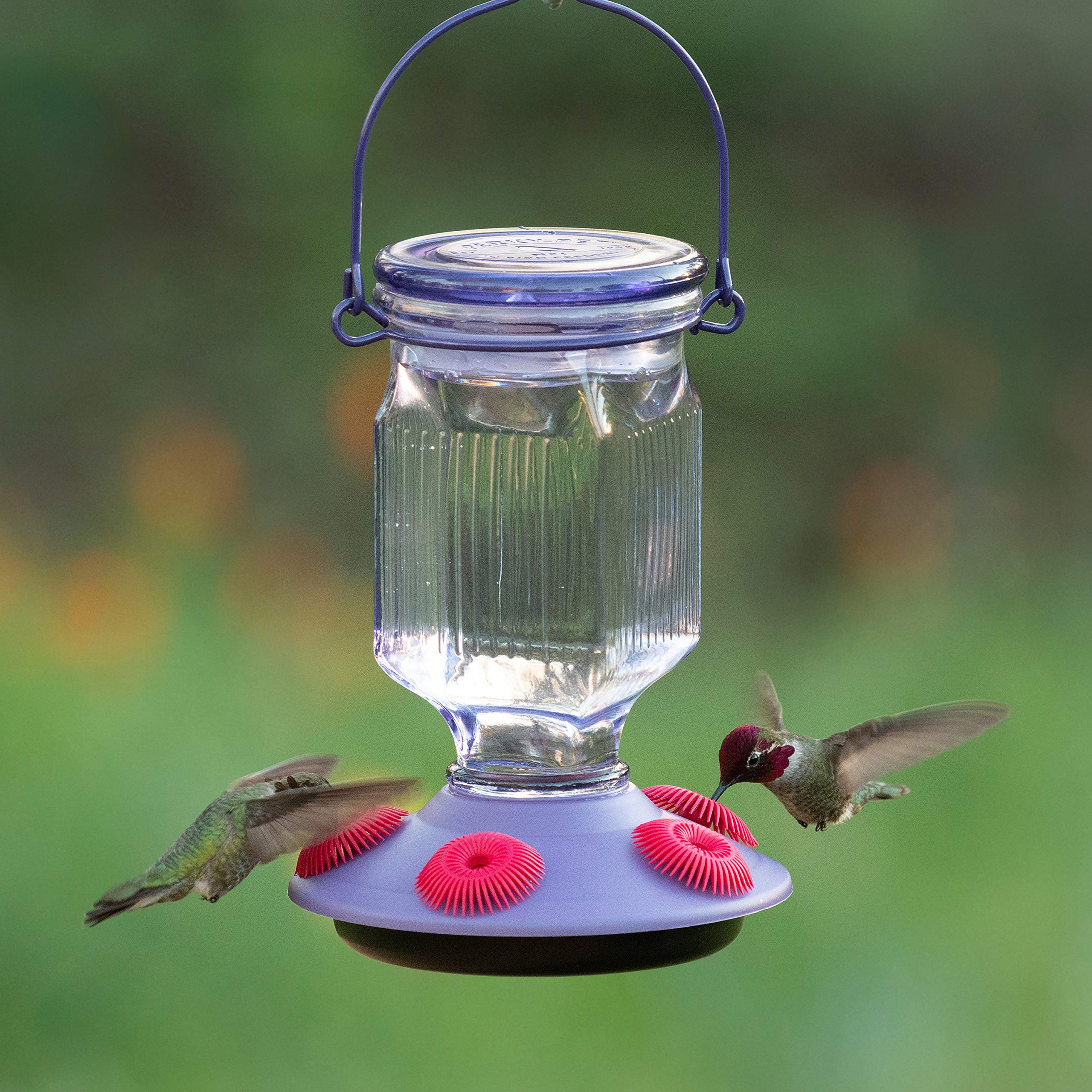 Perky-Pet Hummingbird 16 oz Glass Top-Fill Nectar Bird Feeder 5 ports 9101-2 - Image 3