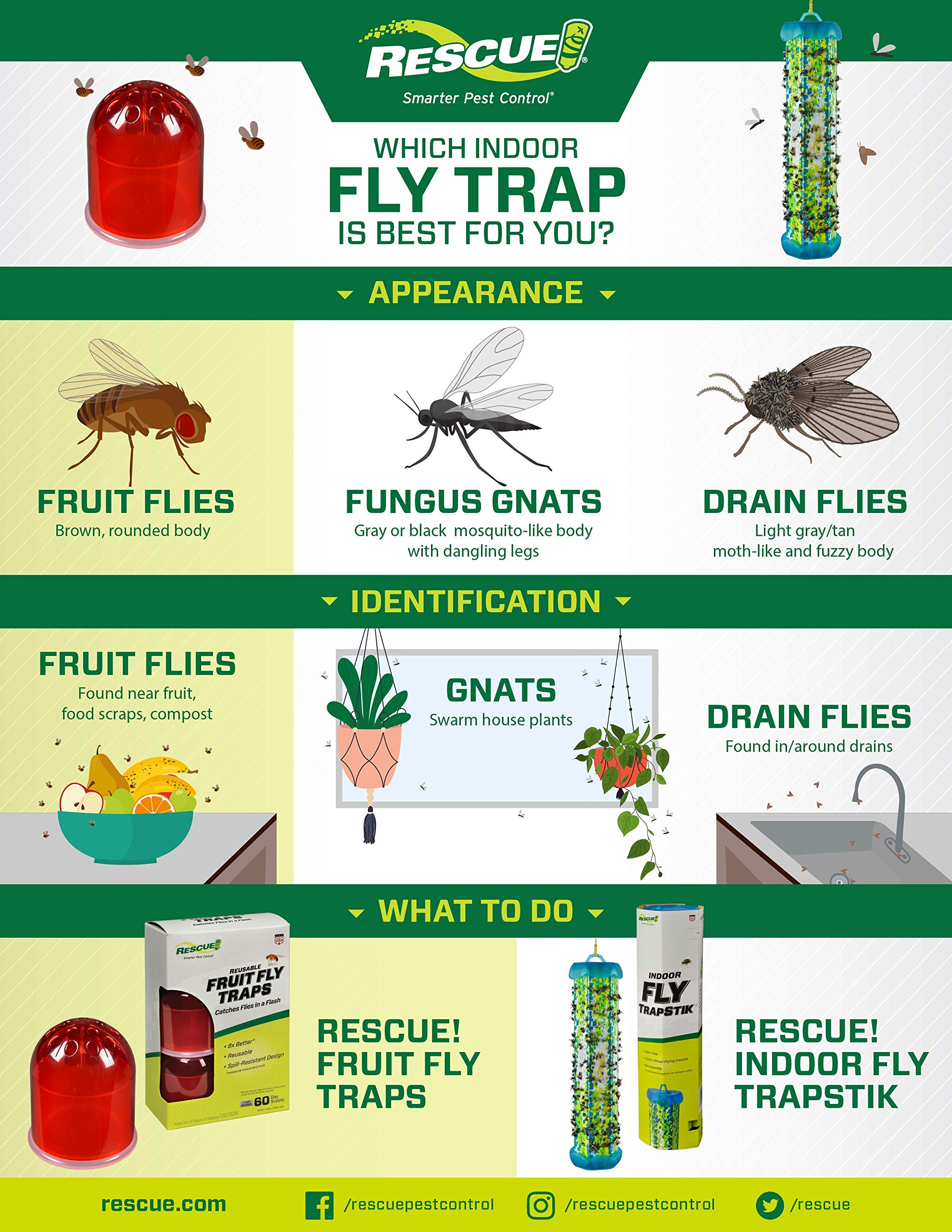 RESCUE! Fruit Fly Trap Bait Refill FFTA-DB12 - Image 4