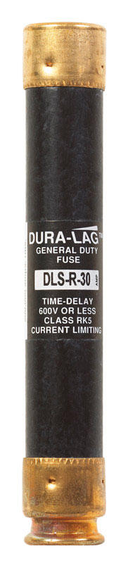Bussmann 30 amps Dual Element Time Delay Fuse 1 each